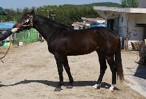 ����Ǯ�ε�� (WONDERFUL INDIAN) ����