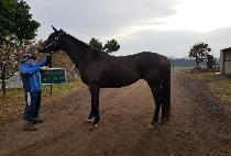 SILENT POETRY picture