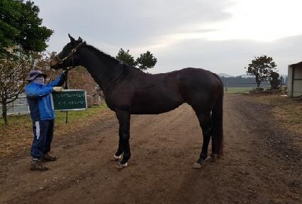 ���Ϸ�Ʈ����Ʈ�� ����