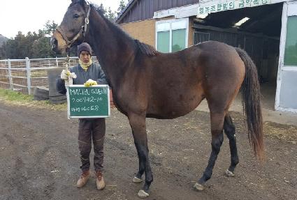 �������� ����