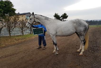 ���������ں� ����