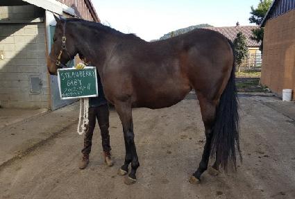 ��Ʈ�κ������̺� ����