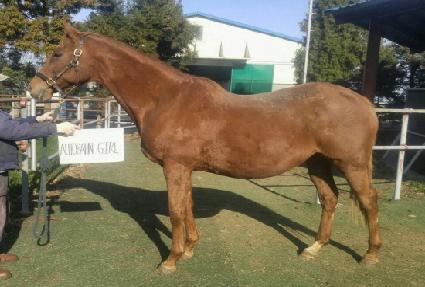 �ƿ���ݰ� ����