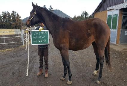 �÷��þ��� ����