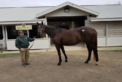 �÷�����Ʈ ����