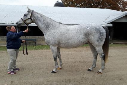 ������ ����