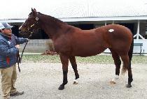 ���Ϸ�Ʈ�� (ALL ELECTRIC) ����