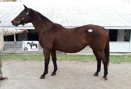 ���ú񰡵��� ����