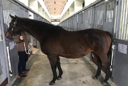 ī���Ÿ ����