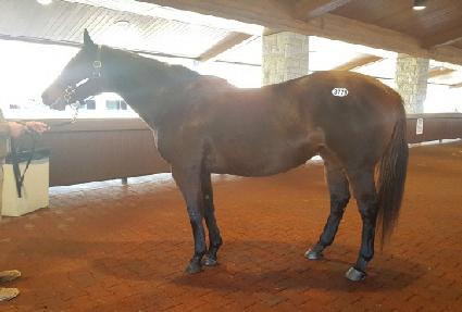 ���̰���Ʈ��ũ ����