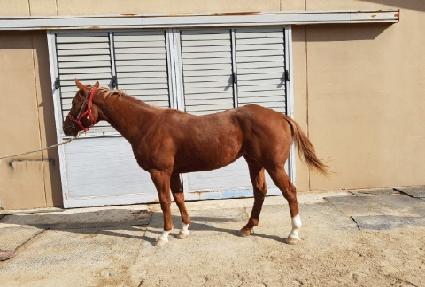 �޸��üθ� ����