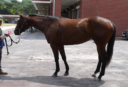 ������ ����