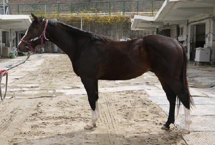 �������� ����