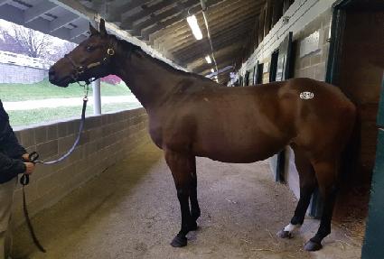 �ҿ������� ����