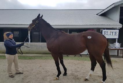 �ư��� ����