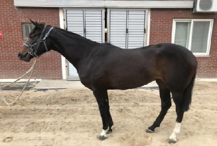 �������� ����