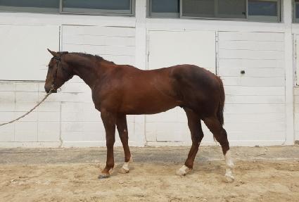 �ǿ�����ʵ� ����