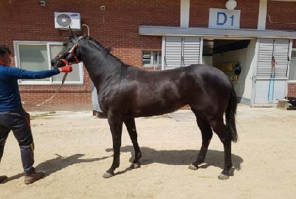 ������ũ ����