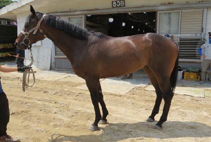 �ְ��丶 ����