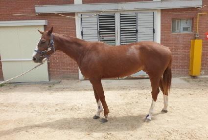 ����Ǯ���� ����