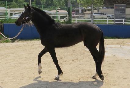 ����ǮĹ ����