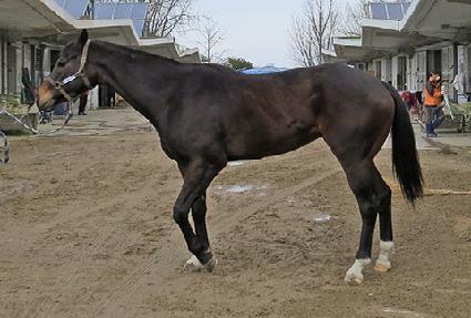 ���̺� ����