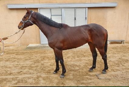 ���䰡���� ����