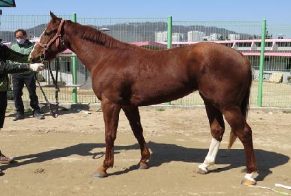 ������Ÿ�� ����