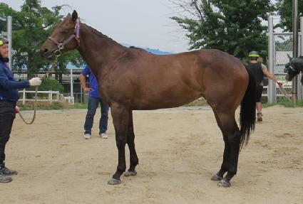 ����ű���� ����