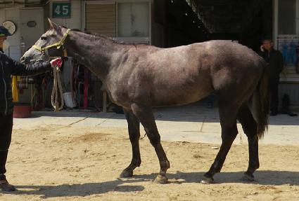 �����ŷ ����