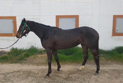 ��ź������ ����