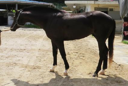 ���ø�Ʈĸƾ ����