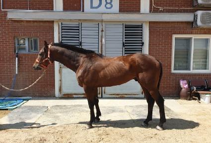 �������� ����