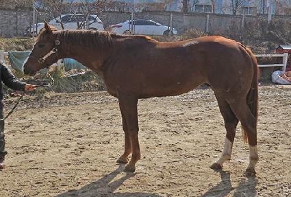 �ö��̽�Ÿ ����