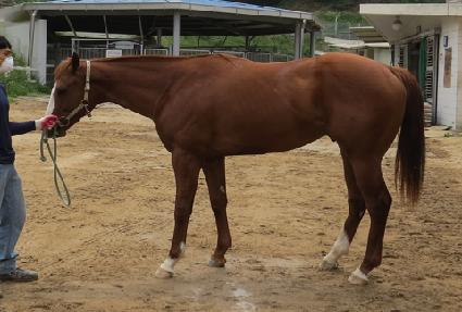 ������ŷ ����