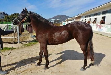 ���丮���� ����