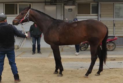 ���긴�� ����