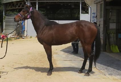 ������� ����