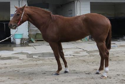 �ʵ����̴� ����