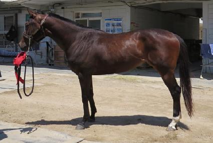 ��º����� ����