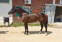 �������ƽ� (ENERGY MAX) ����