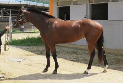 �׷���Ʈ���� ����