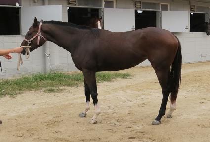 ��������� ����