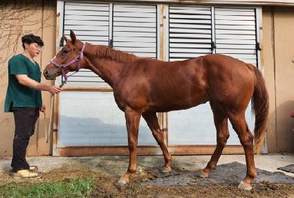 �����̵��� ����