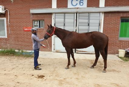 ���ĵ�� ����