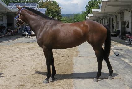 �������� ����