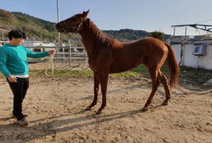 �����ǹ��� ����