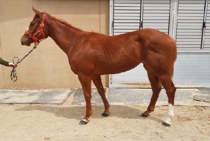 ����ȭ��Ʈ ����