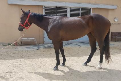 ��ũ��� ����