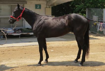 �ż����� ����